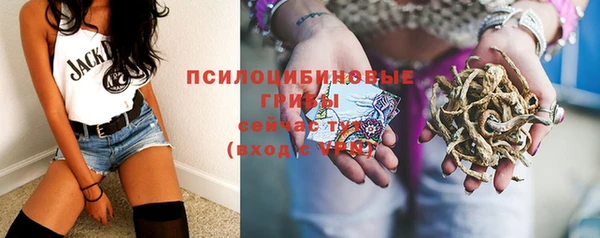 не бодяженный Абаза