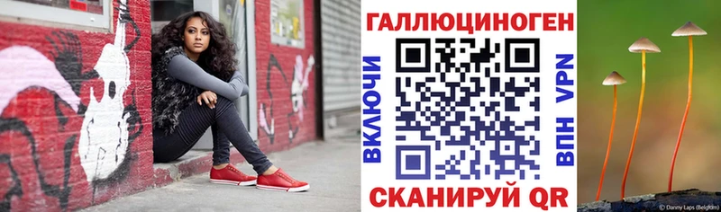 где продают наркотики  Котлас  Галлюциногенные грибы Cubensis 